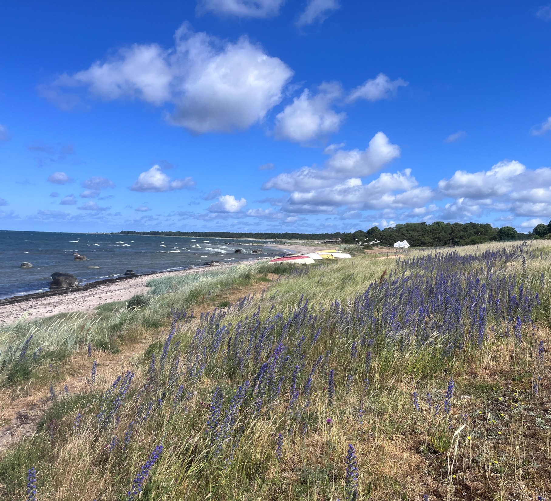 Stärkt lärande i Region Gotland.